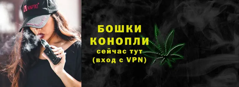 Канабис White Widow  цены   Луза 